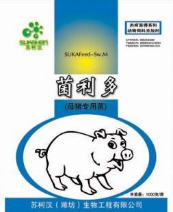 供應微生物飼料添加劑 母豬專用菌助力健康養殖，有效預防便秘