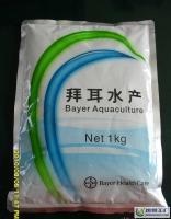 拜速盈 苗種培育期抗應激利器，顯著提升成活率與養殖效益